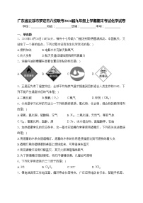 广东省云浮市罗定市八校联考2024届九年级上学期期末考试化学试卷(含答案)