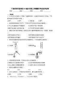 广西河池市宜州区2024届九年级上学期期末考试化学试卷(含答案)