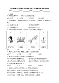 河北省唐山市遵化市2024届九年级上学期期末复习化学试卷(含答案)