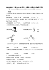 河南省安阳市文峰区2024届九年级上学期期末学业质量监测化学试卷(含答案)