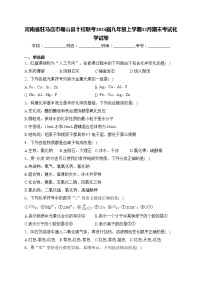 河南省驻马店市确山县十校联考2024届九年级上学期12月期末考试化学试卷(含答案)