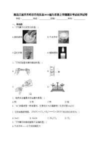 黑龙江省齐齐哈尔市克东县2023届九年级上学期期末考试化学试卷(含答案)