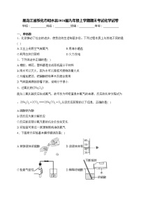 黑龙江省绥化市明水县2024届九年级上学期期末考试化学试卷(含答案)