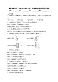 湖北省黄石市大冶市2023届九年级上学期期中目标检测化学试卷(含答案)