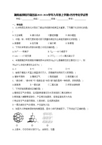 湖南省邵阳市隆回县2023-2024学年九年级上学期1月月考化学试卷(含答案)