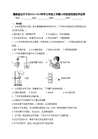 湖南省五市十校2023-2024学年九年级上学期12月质量检测化学试卷(含答案)