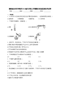 湖南省永州市祁阳市2024届九年级上学期期末质量监测化学试卷(含答案)