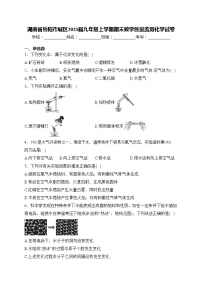 湖南省岳阳市城区2023届九年级上学期期末教学质量监测化学试卷(含答案)