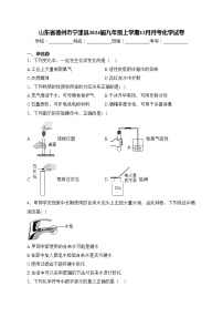 山东省德州市宁津县2024届九年级上学期12月月考化学试卷(含答案)