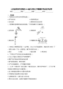 山东省菏泽市定陶区2024届九年级上学期期中考试化学试卷(含答案)