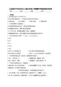 山东省济宁市金乡县2024届九年级上学期期中学情监测化学试卷(含答案)