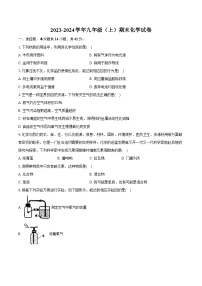 海南省海口市琼山区2023-2024学年九年级上学期期末化学试卷