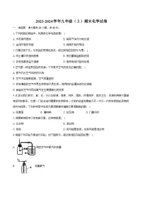 海南省海口市琼山区2023-2024学年九年级上学期期末化学试卷
