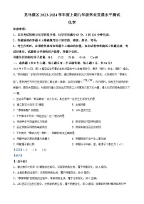 39，四川省泸州市龙马潭区2023-2024学年九年级上学期1月期末化学试题