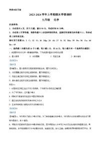 51，河南省郑州市新郑市2023-2024学年九年级上学期1月期末化学试题