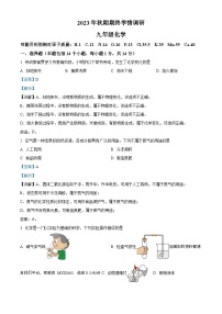 87，河南省南阳市桐柏县2023-2024学年九年级上学期1月期末化学试题