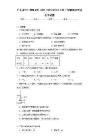 广东省江门市新会区2023-2024学年九年级上学期期末考试化学试题(含答案)