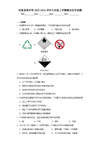 河南省郑州市2023-2024学年九年级上学期期末化学试题(含答案)