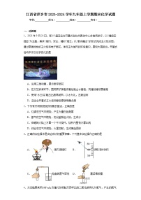 江西省萍乡市2023-2024学年九年级上学期期末化学试题(含答案)