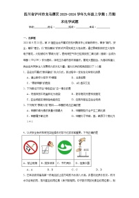 四川省泸州市龙马潭区2023-2024学年九年级上学期1月期末化学试题(含答案)