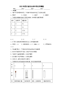 2022年四川省乐山市中考化学真题