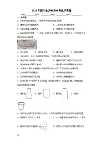 2022年四川省泸州市中考化学真题