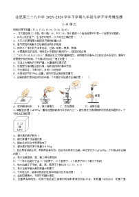 安徽省合肥市第三十九中学2023~2024学年九年级下学期化学开学考模拟题