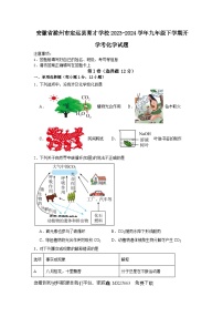 安徽省滁州市定远县育才学校2023-2024学年九年级下学期开学考化学试题