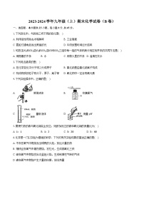 山东省枣庄市山亭区2023-2024学年九年级上学期期末化学试卷（B卷）