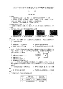 安徽省亳州市利辛县2023-2024学年九年级下学期2月份开学摸底调研化学试题