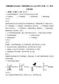 安徽省滁州市定远县一初教育集团2023-2024学年九年级上学期期末化学试卷