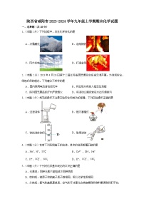 陕西省咸阳市2023-2024学年九年级上学期期末化学试题