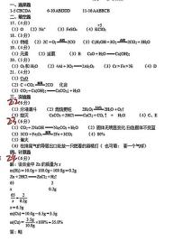 重庆市渝北区2023～2024学年九年级下学期入学质量抽测化学试题(1)