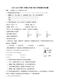 陕西省商洛市镇安县2023-2024年九年级下学期入学检测化学试题