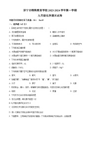 山东省济宁市特殊教育学校2023-2024学年九年级上学期期末考试化学试卷（原卷+解析）