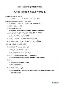 23，河南省漯河市舞阳县2023-2024学年九年级上学期期末考试化学试题(1)