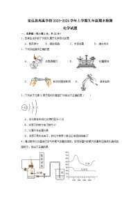 安徽省滁州市定远县尚真学校2023-2024学年九年级上学期期末化学试题