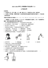 河南省漯河市舞阳县2023-2024学年九年级上学期期末考试化学试题