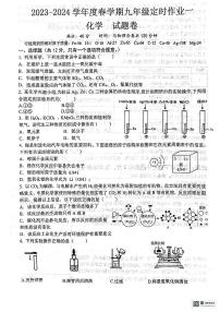 安徽省六安市2023--2024学年九年级下学期开学测评化学试题