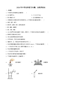 2024年中考化学复习专题自然界的水（含答案）