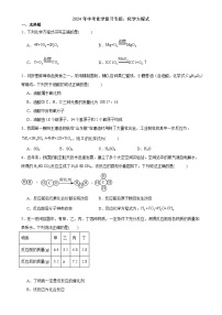 2024年中考化学复习专题化学方程式（含答案）