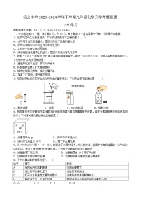 安徽省安庆市桐城市杨公中学2023_2024学年下学期九年级化学开学考模拟题