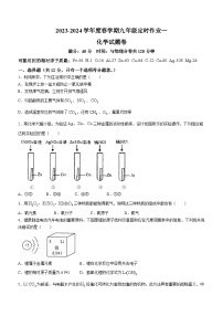 安徽省六安市2023--2024学年九年级下学期开学测评化学试题(无答案)