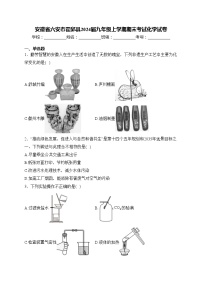 安徽省六安市霍邱县2024届九年级上学期期末考试化学试卷(含答案)