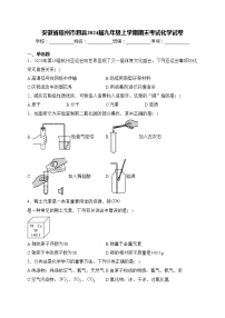 安徽省宿州市泗县2024届九年级上学期期末考试化学试卷(含答案)