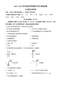 广西南宁市青秀区三美学校2023-2024学年九年级上学期期中化学试题（原卷+解析）