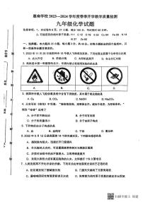 广东省惠州市惠南中学2023-2024学年九年级下学期化学开学考试卷