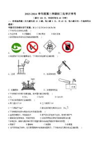 广东省湛江市雷州市雷州市第二中学2023-2024学年九年级上学期开学化学试题