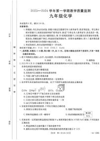 2023-2024学年福建省泉州市洛江区初三年级化学一检试卷