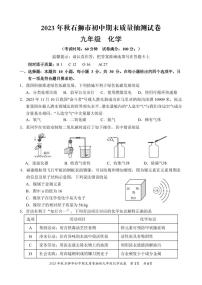 2023-2024学年福建省泉州市石狮市初三年级化学一检试卷